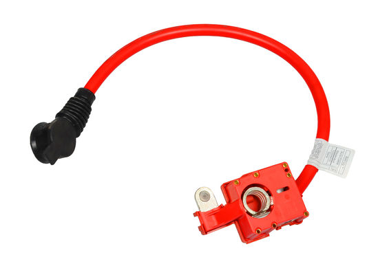 गुणवत्ता  Red Auto Battery Cables Automotive Battery Cable OE:#61129217036 फैक्टरी